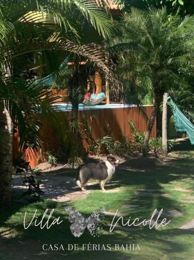 Villa Nicolle - Bahia - برايا دو إسبيلهو المظهر الخارجي الصورة